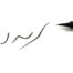 378-Pentel-Pocket-Brush-sivellinkyna.jpg
