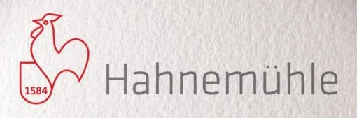 Hahnemühle etching paper 350g, 78x106cm (3 sheets), natural white 740